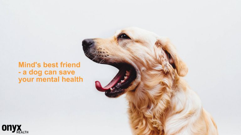 Mental Health And Pets: How Pets Can Boost Your Mental Health